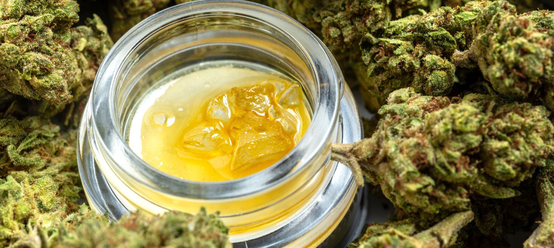 THCA Concentrates: The Future of Hemp Products